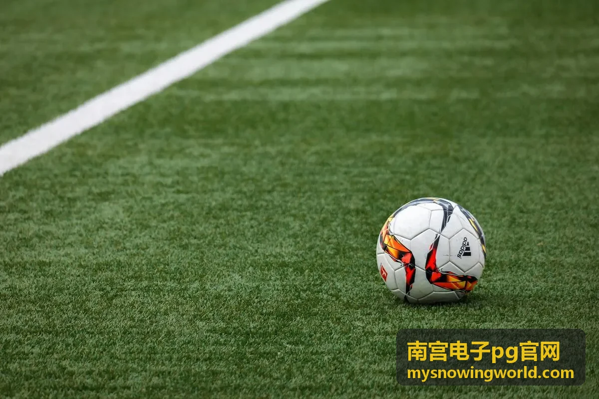南宫电子PG数字服务系统界面