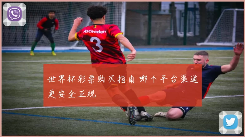 世界杯彩票购买指南 哪个平台渠道更安全正规
