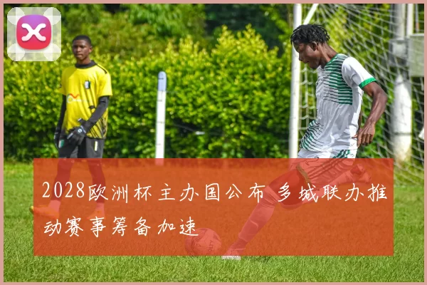 2028欧洲杯主办国公布 多城联办推动赛事筹备加速