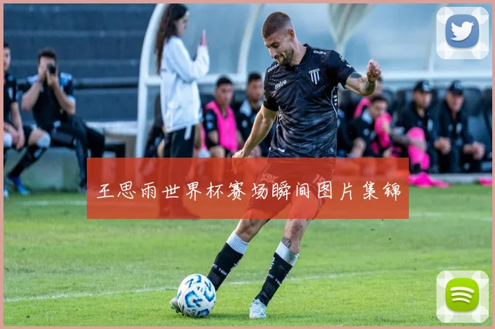 王思雨世界杯赛场瞬间图片集锦