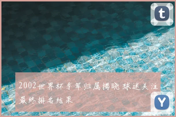 2002世界杯季军归属揭晓 球迷关注最终排名结果