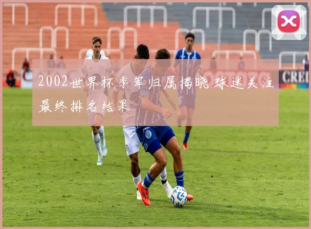 2002世界杯季军归属揭晓 球迷关注最终排名结果