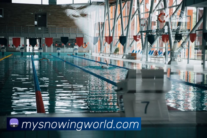 mk官网查询服务体系